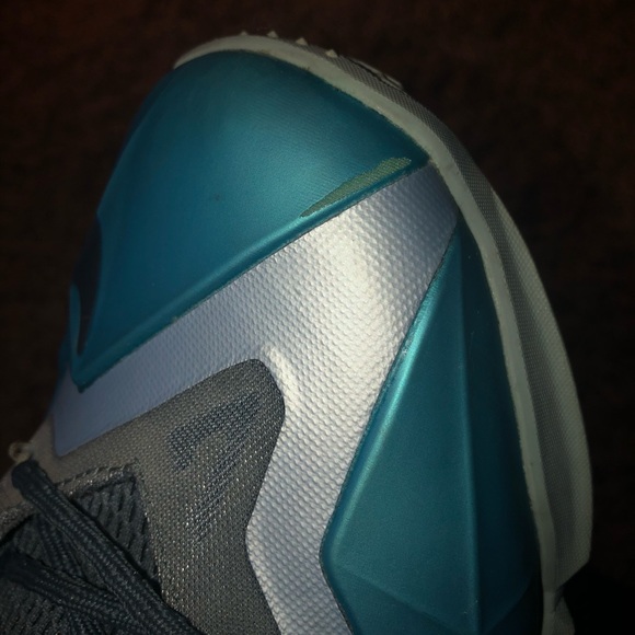 Lebrons - Picture 5 of 5